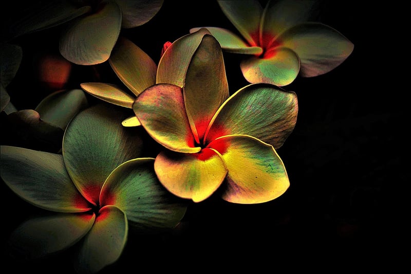 Bold Colors and Patterns